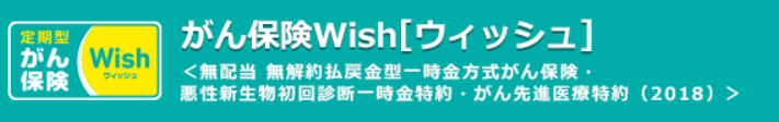 オリックス生命「がん保険Wish(ウィッシュ)」