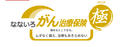 なないろ生命「なないろがん治療保険極」