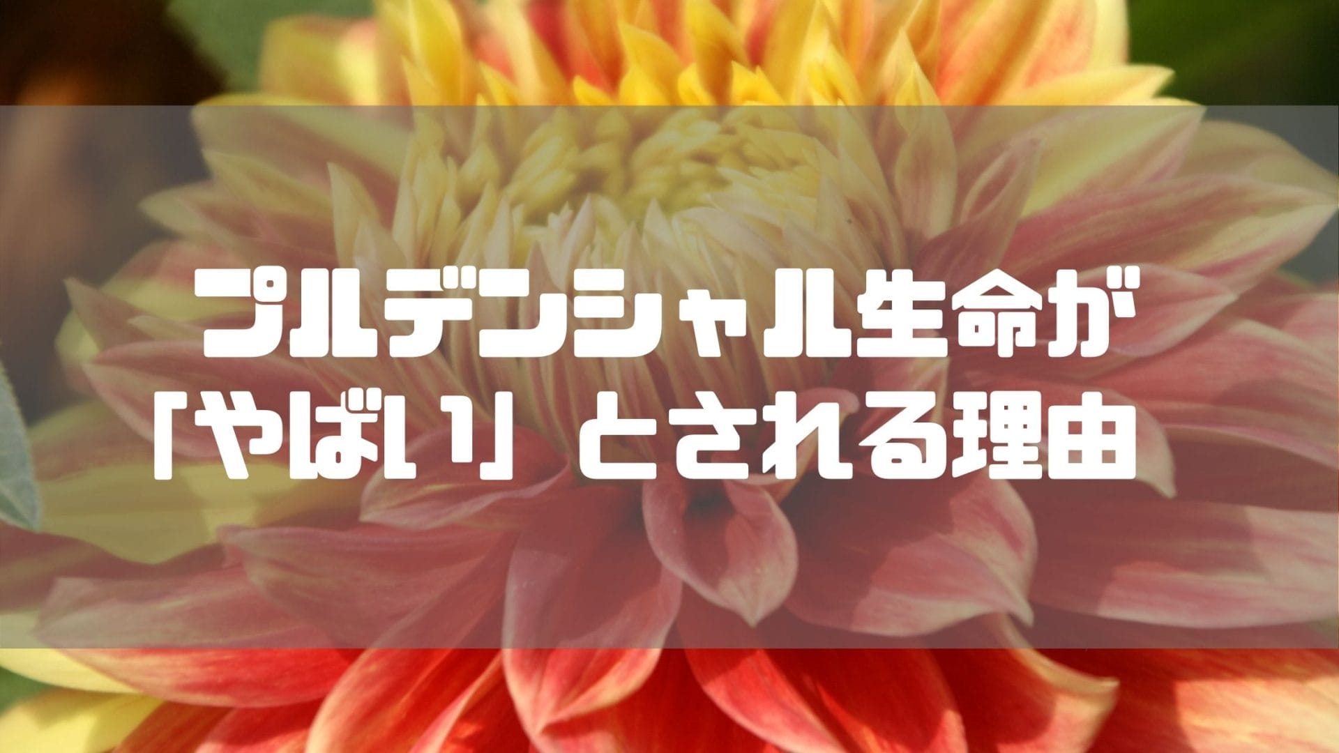 プルデンシャル生命がやばいとされる理由